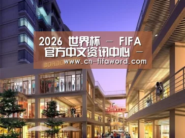 案例展示一